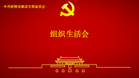 新稀寶黨支部召開2024年度組織生活會及民主評議黨員會議